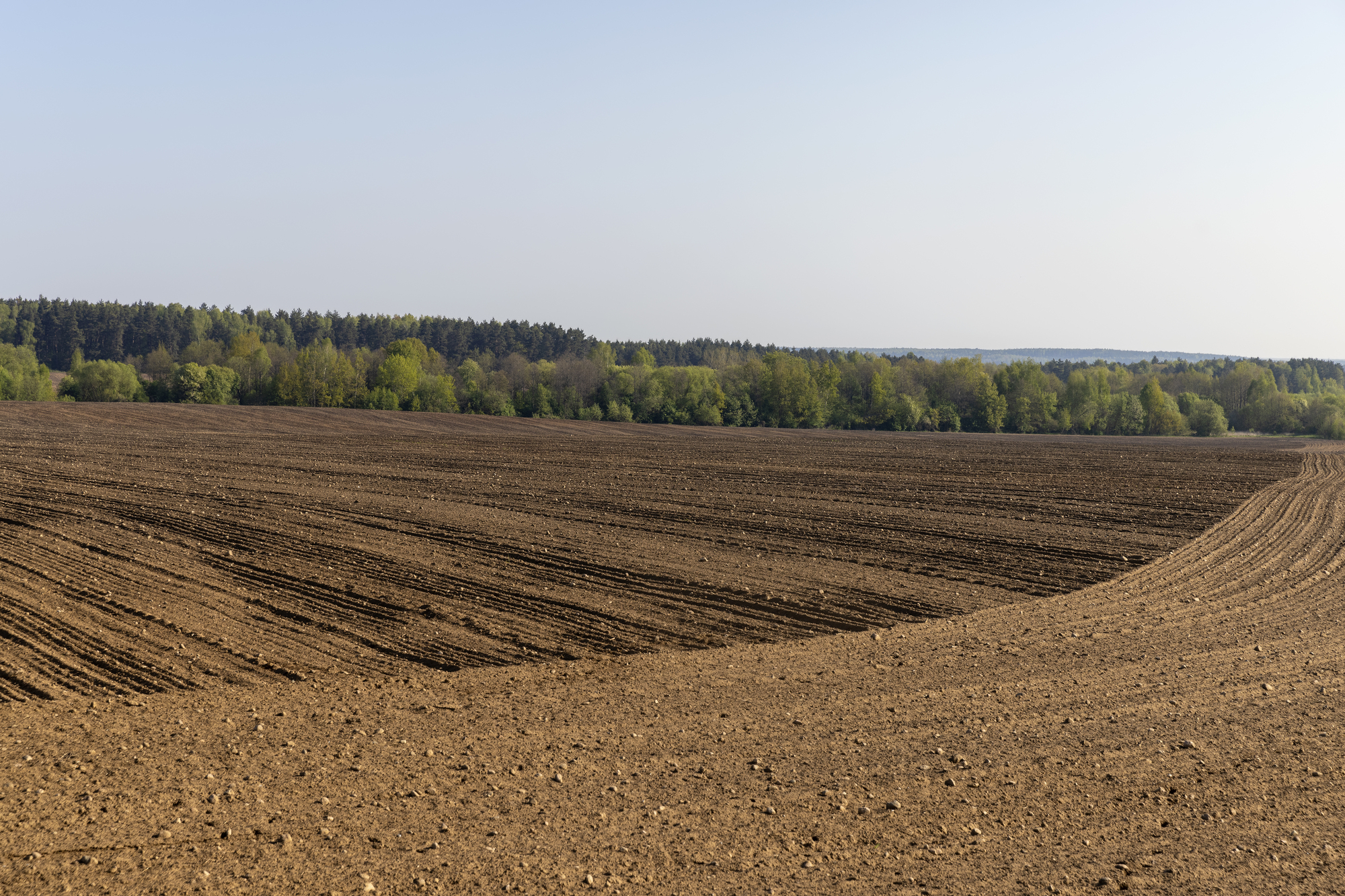 preparing the soil for sowing in spring