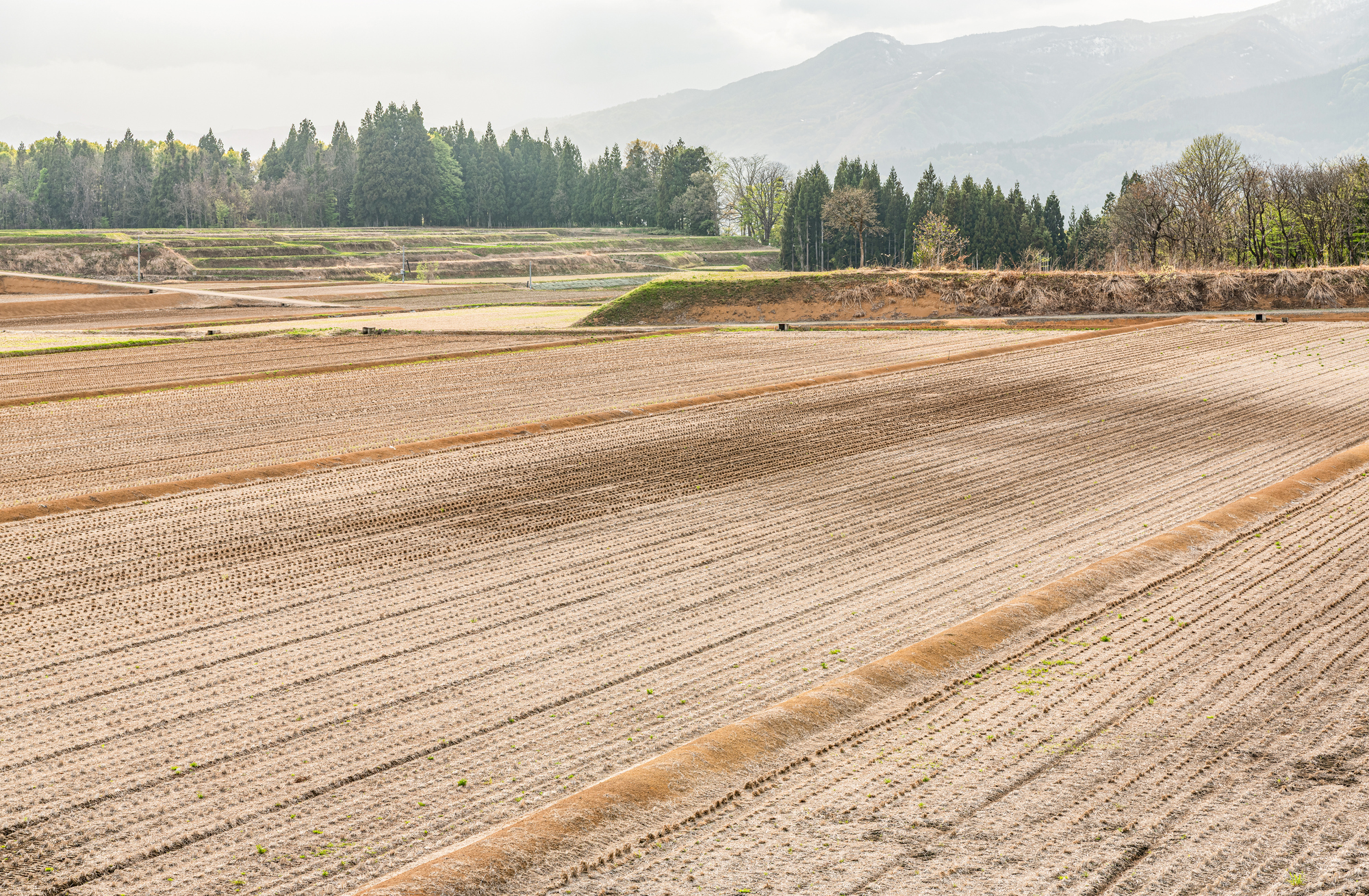 pixta_128811271_M (1)